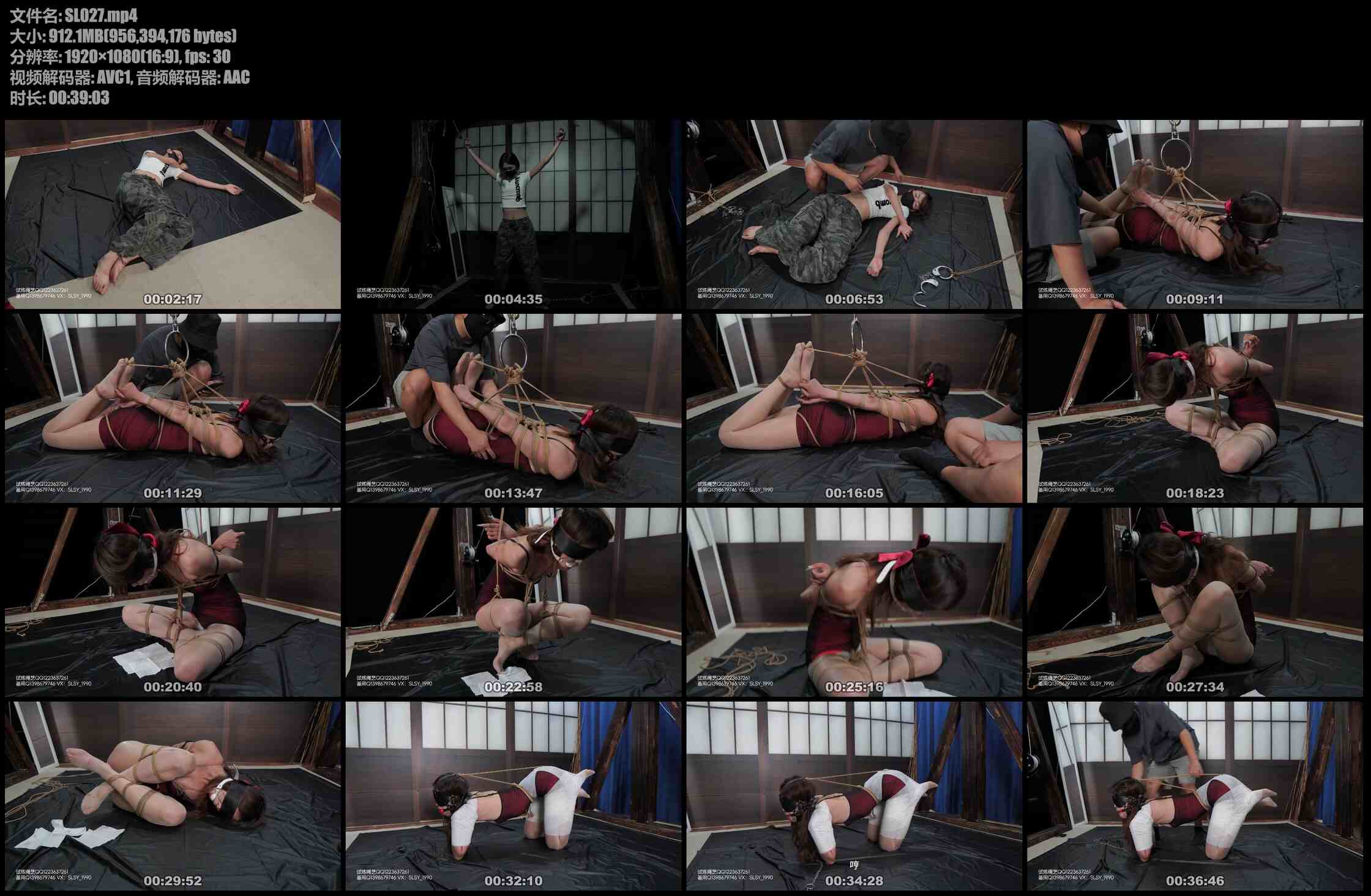 SL027-试炼 大三女孩小雅打车去见男友被网约车司机迷倒带走紧缚玩弄 驷马团缚人形犬